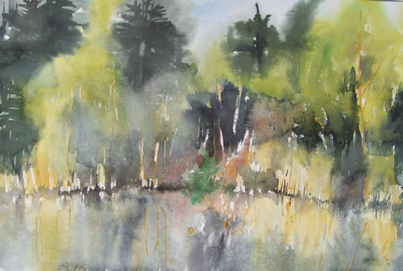 Krebssee (Waldteich)