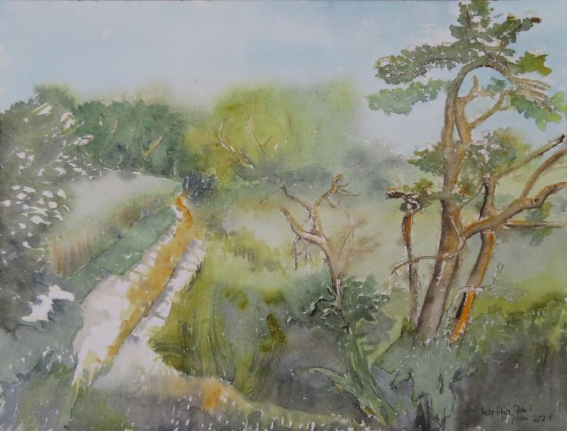 Wiesenweg II