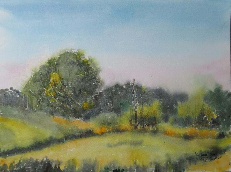 Wiese am Halben See II, morgens
