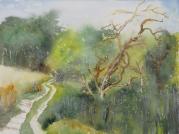 Wiesenweg III