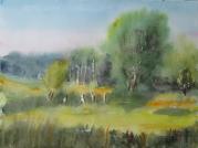 Wiese am Halben See IV